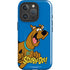 Scooby Doo Scooby-Doo iPhone 16 Pro Max Magsafe Impact Case